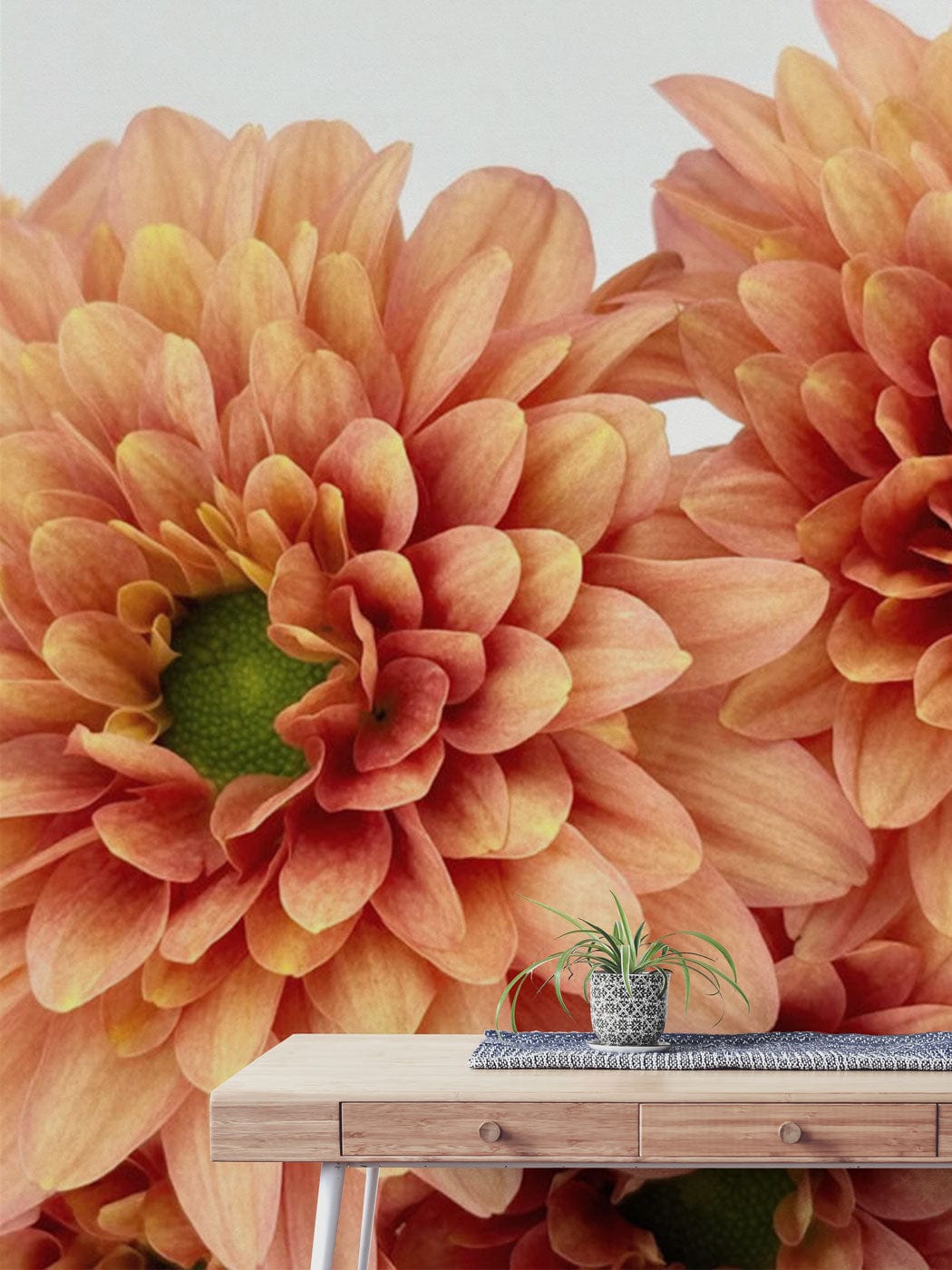 3d flower wall mural corridor design