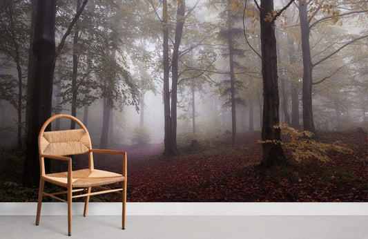 wallpaper design with a hazy woodland in the fog