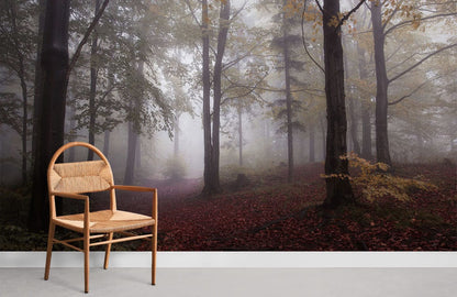 wallpaper design with a hazy woodland in the fog