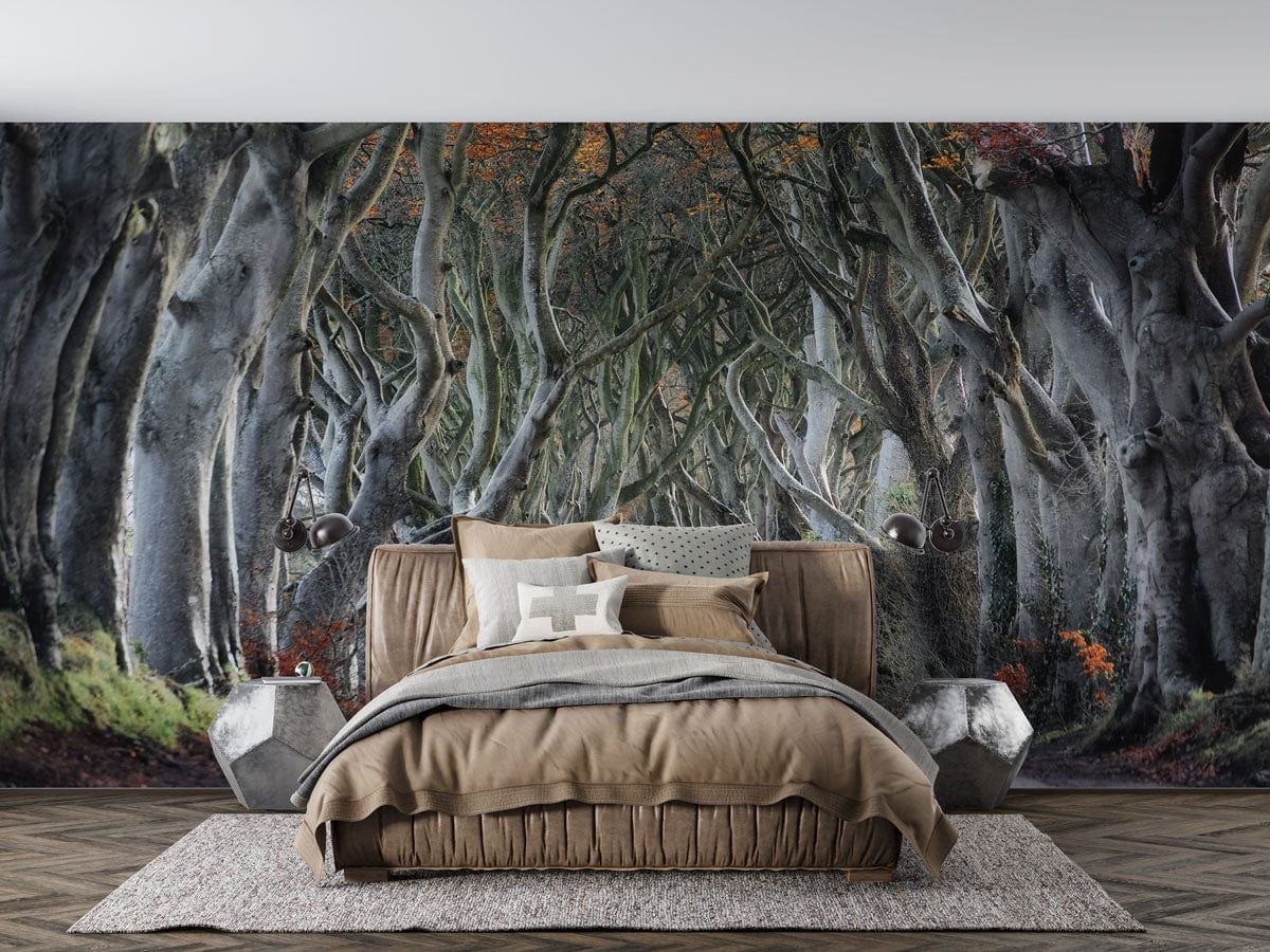 path in forest jungle wall mural room decoration