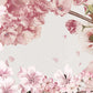 Blossom Breeze & butterfly Wallpaper Mural for wall