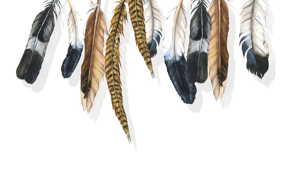 Elegant Feather Design Neutral Wallpaper Mural