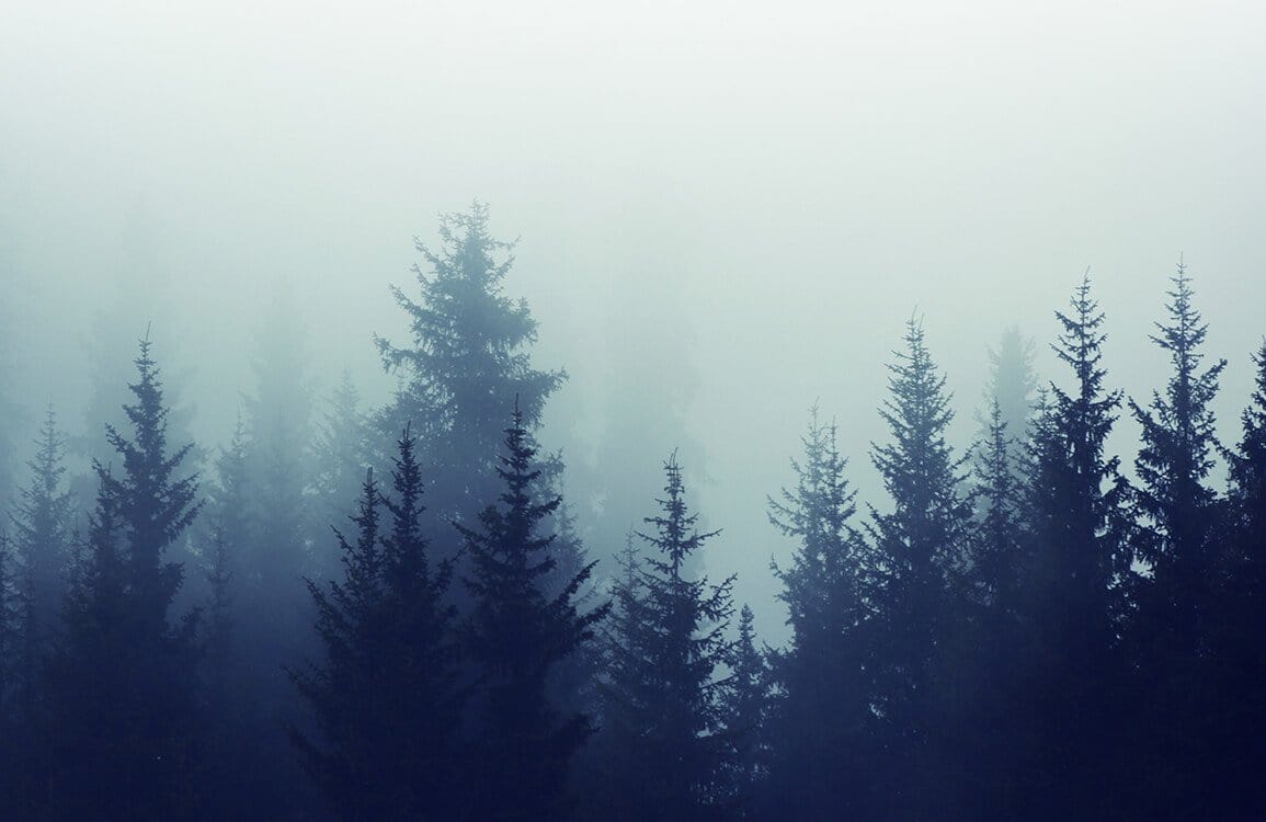 Mystischer Wald Silhouette Wandtapete