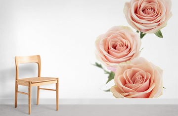Papier Peint Panoramique Trois Roses