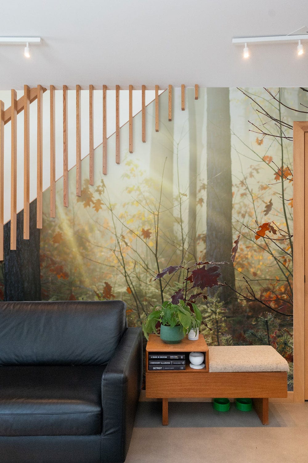 Wallpaper mural for the living room that depicts plants enjoying the fall sunshine.