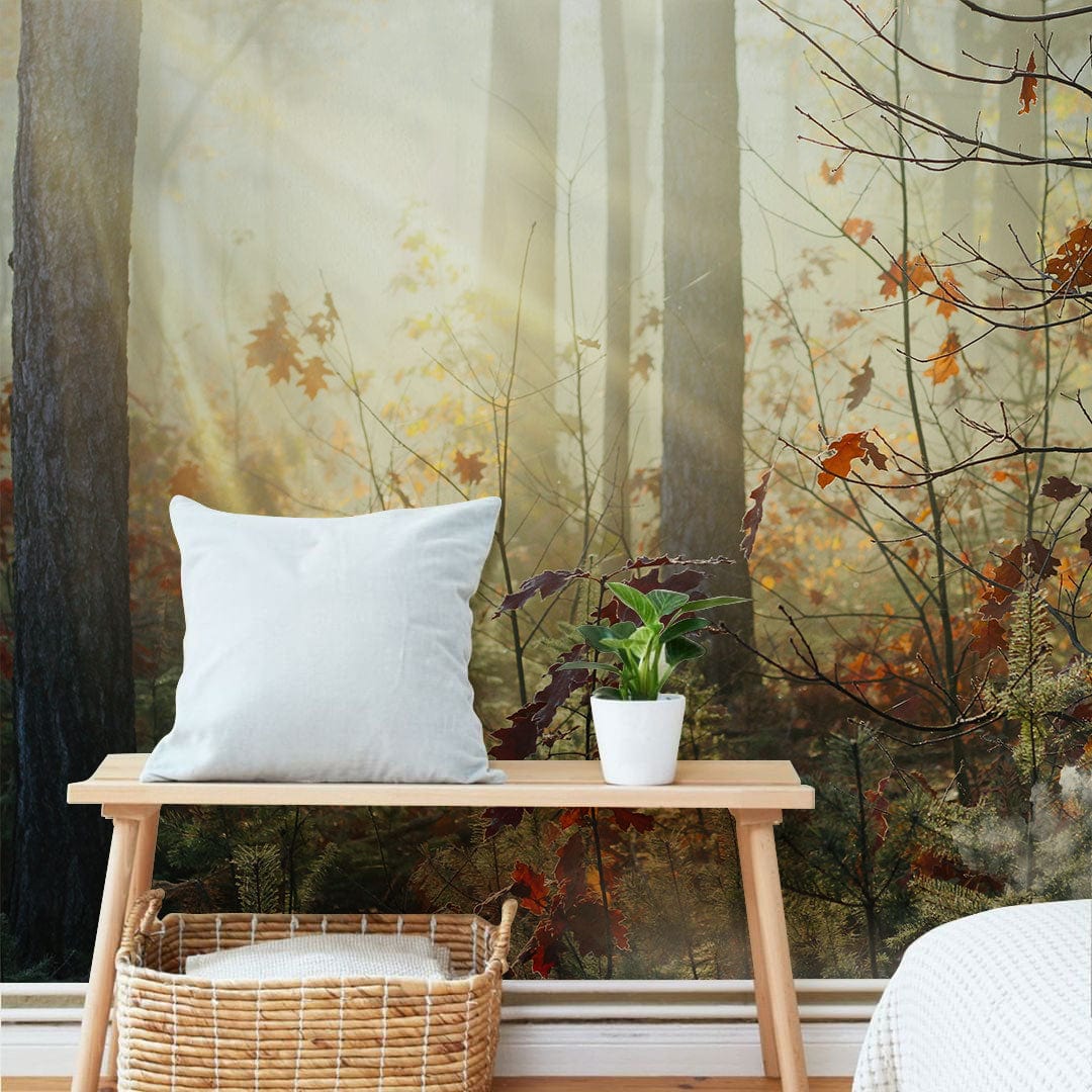 Wallpaper mural for the hallway decor featuring plants enjoying the autumn sunshine.