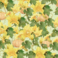 Pumpkin Yellow Flowers Wallpaper Art Design