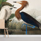 room wallpaper mural with a wild heron