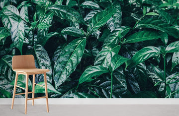 Emerald Green Botanical Leaf Wall Mural
