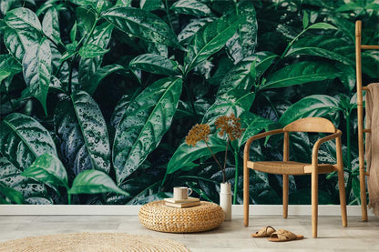 Raindrops On Leaves Wall Mural Art
