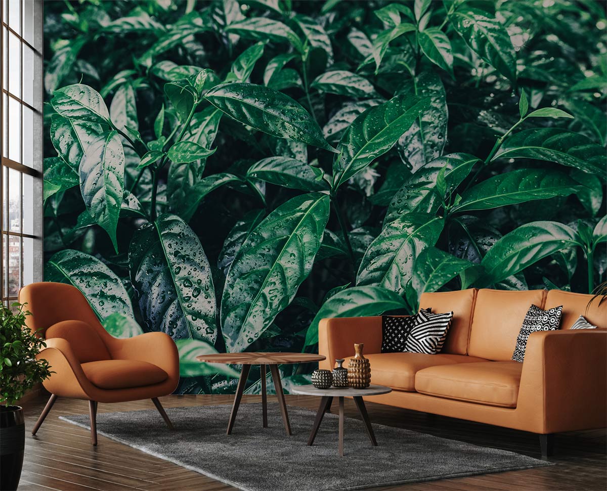 Raindrops On Leaves Green Wallpaper Custom Design