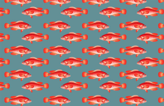 auspicious lucky cooking red fish pattern wallpaper