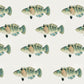Repeated Wrasse Custom Fish Wallpaper Mural