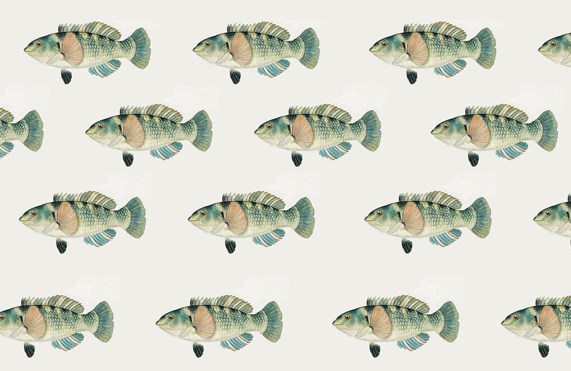 Repeated Wrasse Custom Fish Wallpaper Mural