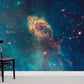 The Constellation of Leo Wallpaper Mural for Room decor