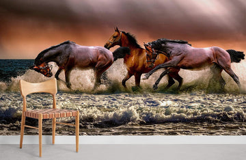 Majestic Horses Ocean Sunset Mural Wallpaper