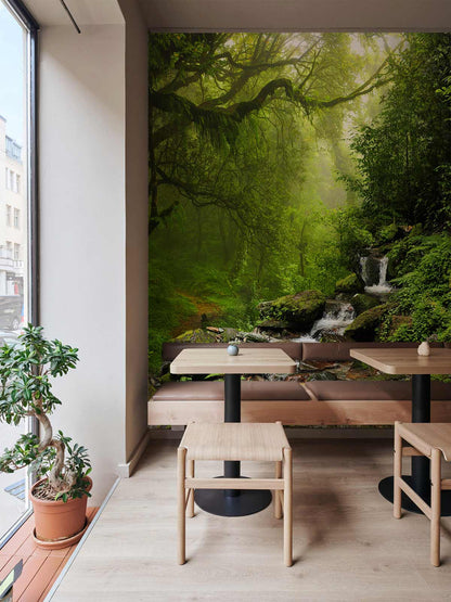 Running Streams in Forest Wallpaper Home Interior Decor
