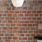 vivid brick wall industrial style design