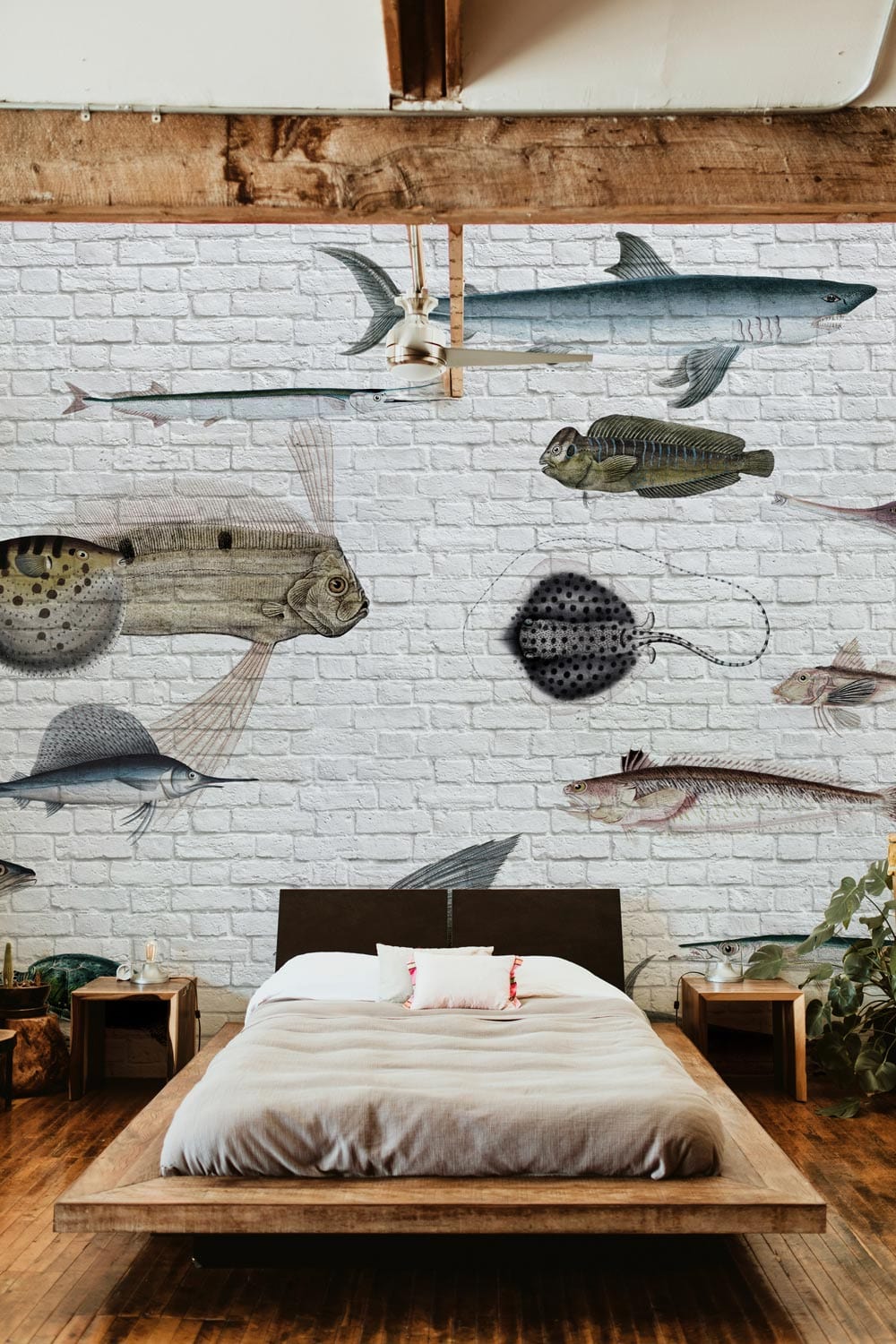 sea fishes are swimming wall mural bedroom