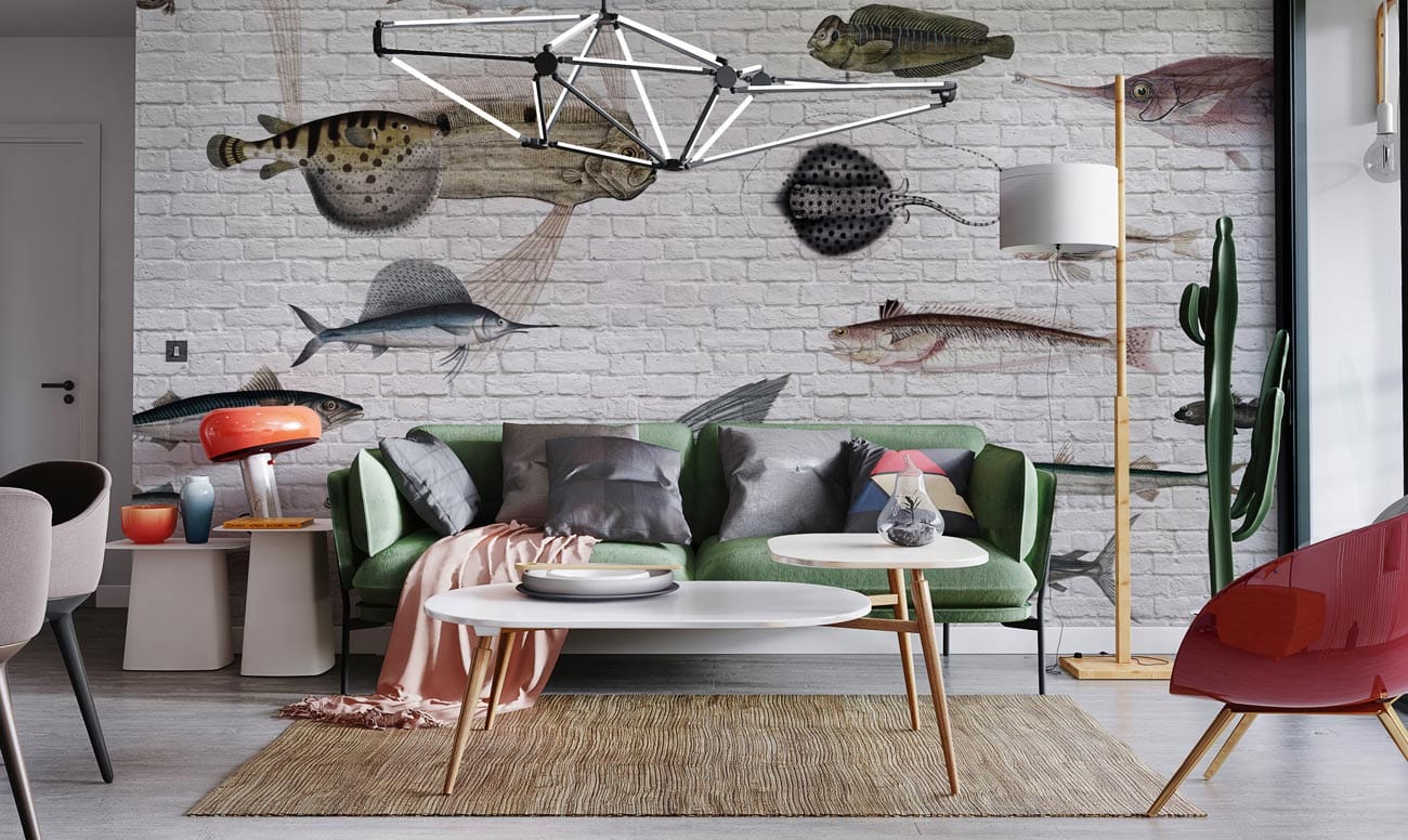 different fishes fat wallpaper living room