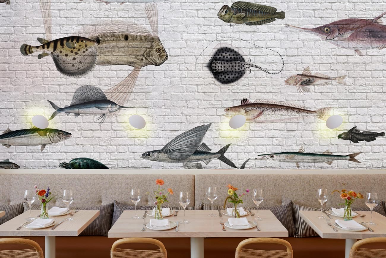 sea food fish watching wallpaper restaurant