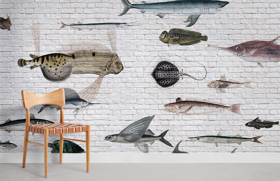 various kinds of fish wallpaper for room