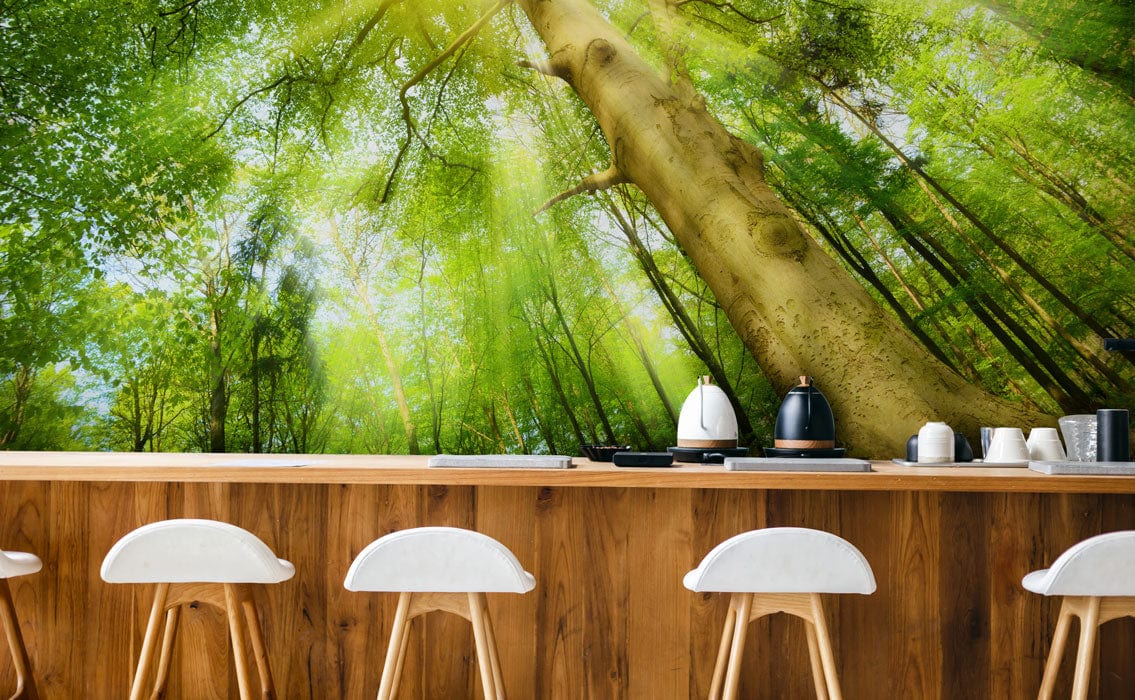 Decorate your dining room with this stunning Shrouded by Trees wallpaper mural.