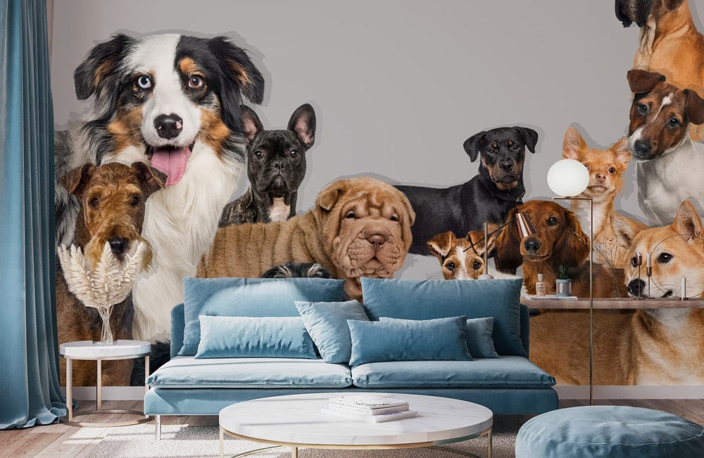 wall murals of dogs for the living room with a gray and white dog design