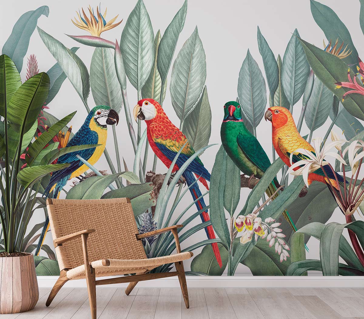 Macaws in a Rainbow of Colors Wallpaper Mural for the Living Room