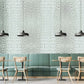 Animal wallpaper mural with silver snake skin, ideal for use in restaurants.