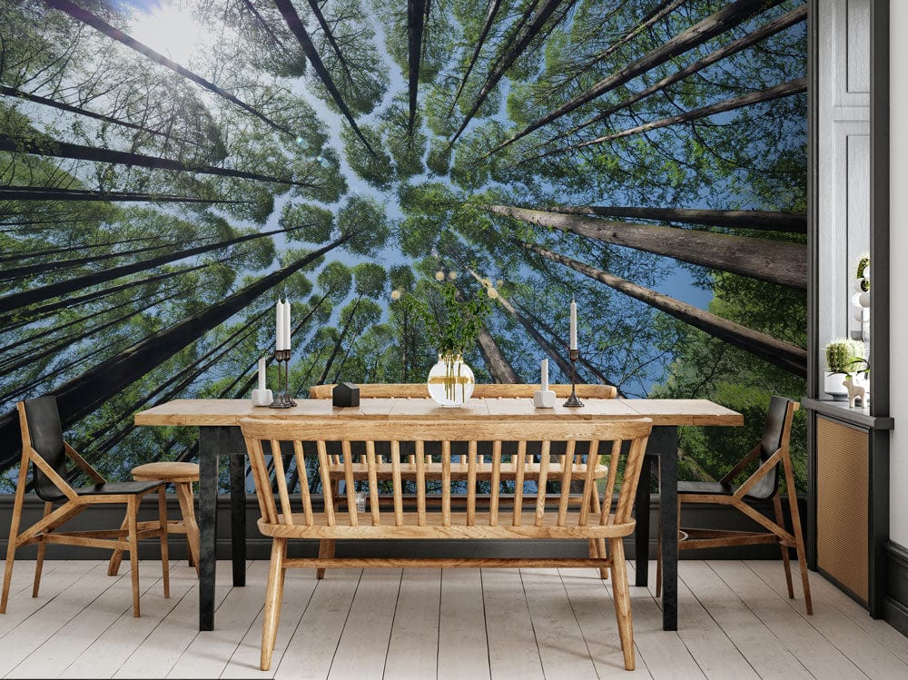Wallpaper mural featuring a sky with forest crevices, perfect for decorating the dining room.