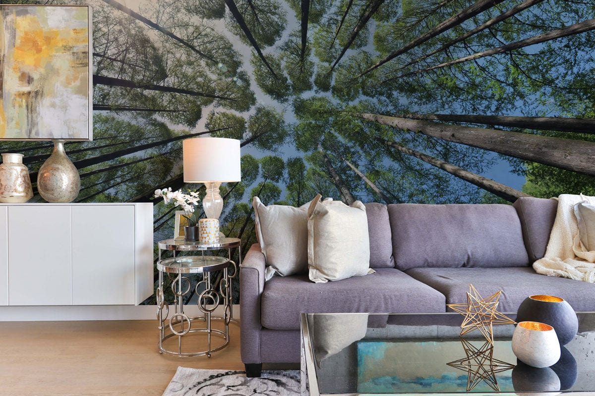 Wallpaper Mural of Sky in Forest Crevices Scenery, for Use in Decorating the Living Room