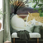 Large Wallpaper Mural of a Snuggling Cat for the Hallway Decor Featuring an Animal