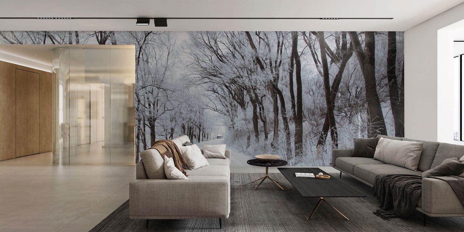 Snowy forest path geust room wallpaper mural