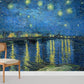 Starry sky oil painting wall Murals for Room decor