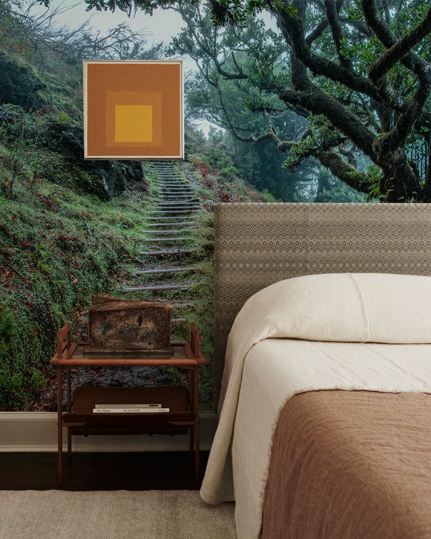 Steep Trail on a Hill Bedroom Mural