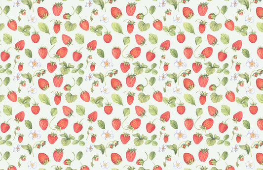 Sketch Strawberry Wallpaper Mural