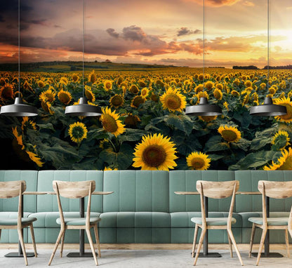 Sunset Sunflower Field Nature Mural Wallpaper in restaurant setting