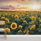 Sunflower Wallpaper Mural