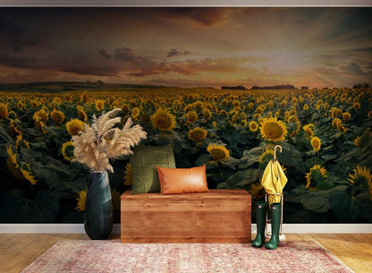 Sunset Sunflower Field Nature Mural Wallpaper in entryway