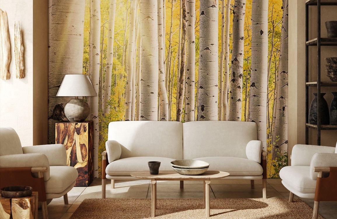 Sunshine birch forest living room wallpaper mural