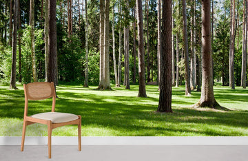 Enchanted Forest Green Landscape Mural Wallpaper