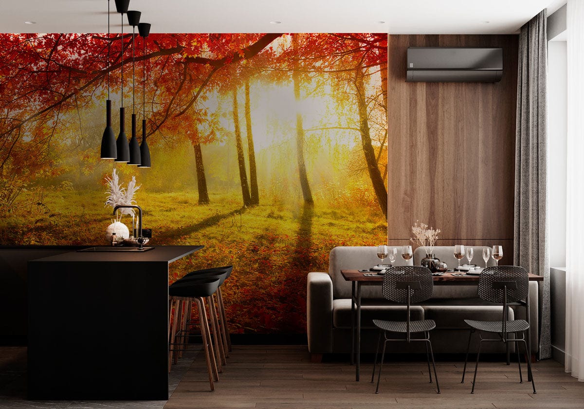 Falling Leaves and Warm Sunlight in a Wooded Landscape Mural Wallpaper for the Dining Room