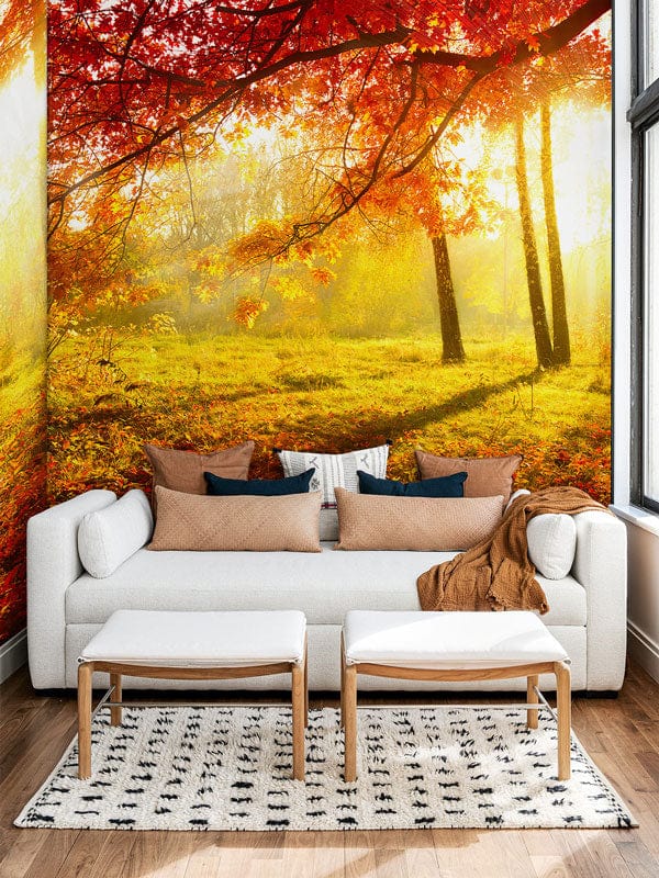 Luminous Fall Forest Scene Wallpaper Mural for Home Decoration