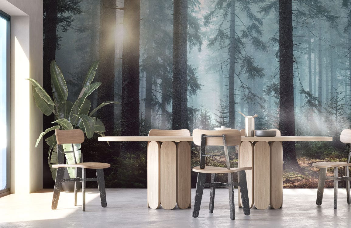 fog-piercing sunshine dining room with dark forest wallpaper