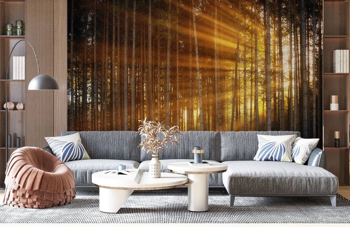 sunshine through forest wallpaper mural living room decor
