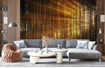 Sunlit Forest Scene Nature Mural Wallpaper