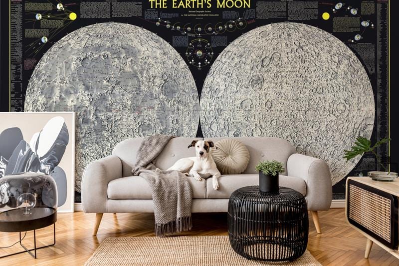 Educational Moon Phases Mural Wallpaper