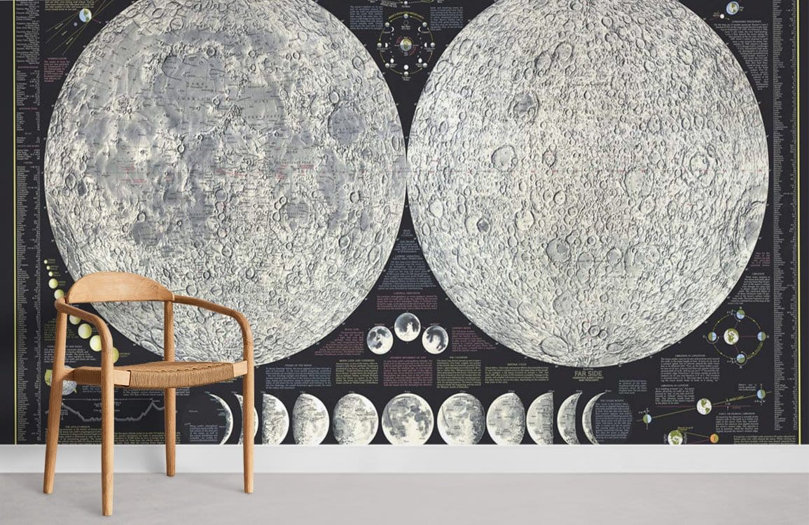 Educational Moon Phases Mural Wallpaper