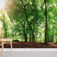 Twisty Trees Forest Wallpaper Home Interior